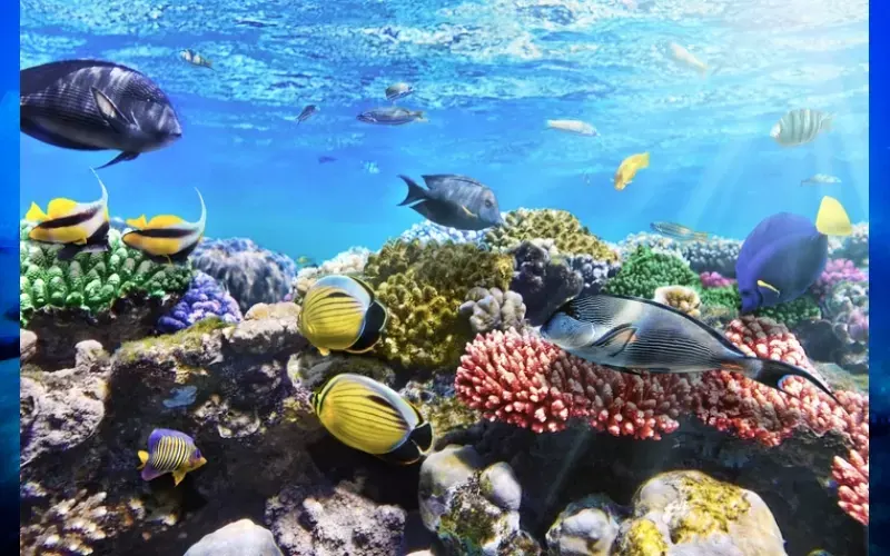 Excursion De Hurghada À Louxor   